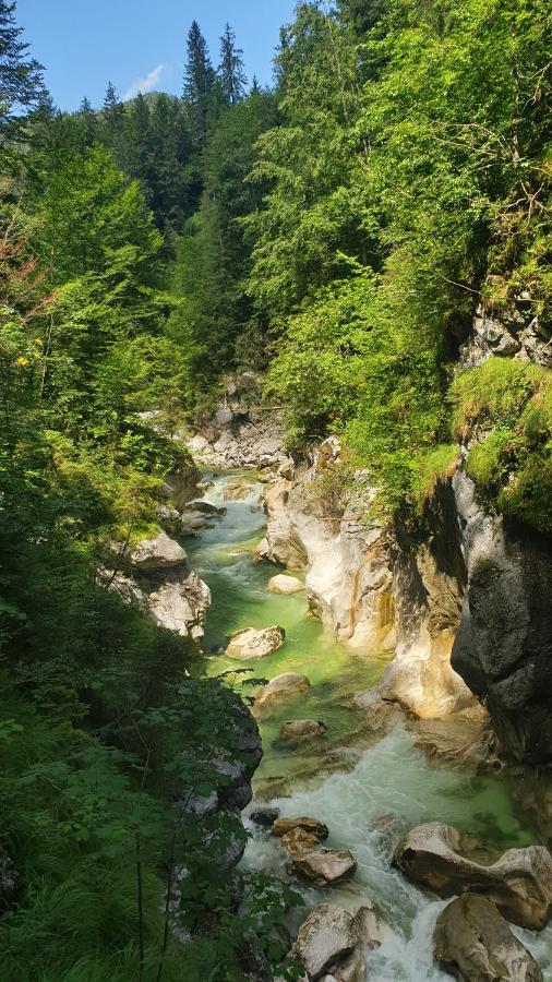 Alpenchalet Almrose Auffach Εξωτερικό φωτογραφία