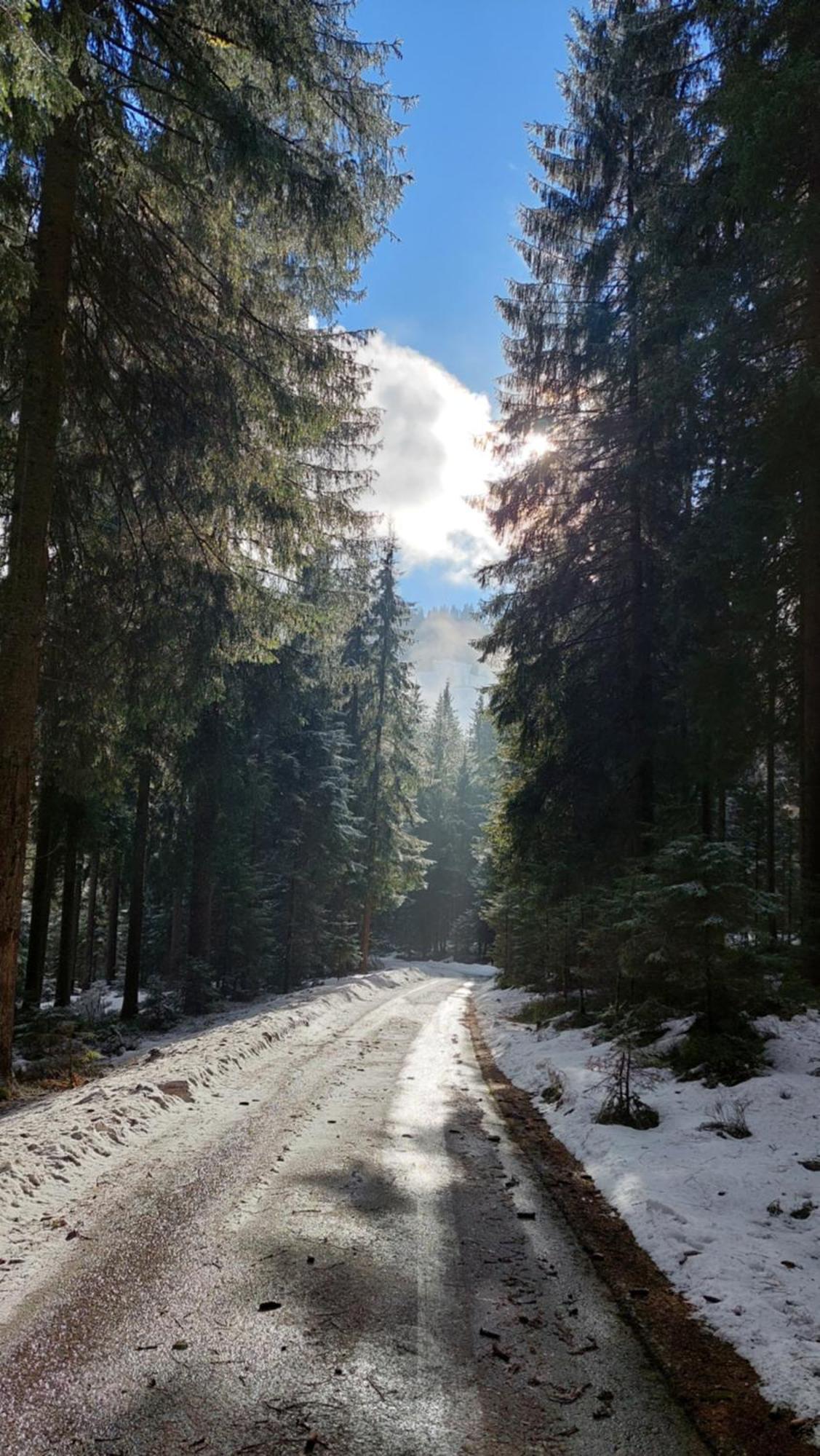 Alpenchalet Almrose Auffach Εξωτερικό φωτογραφία