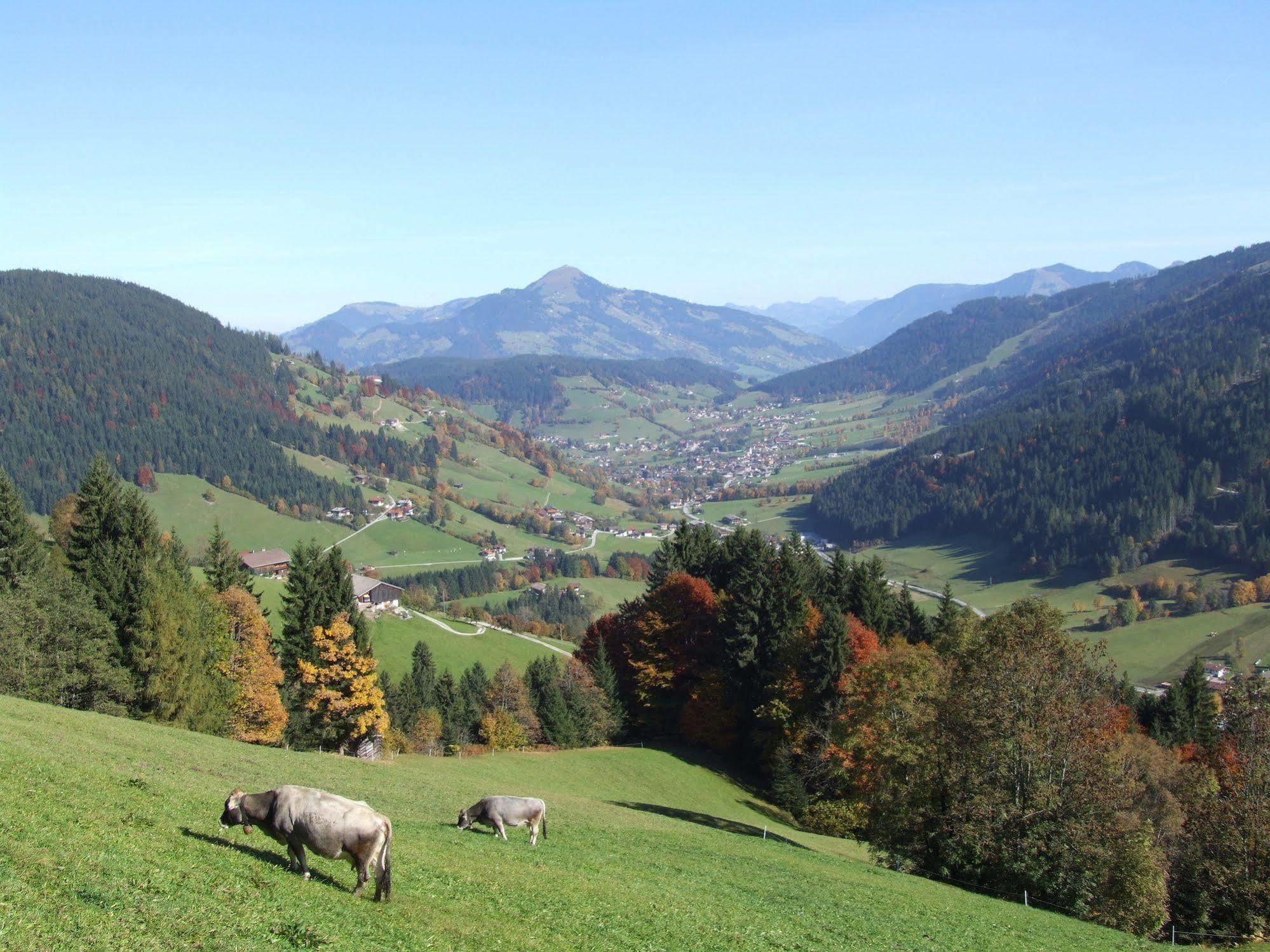 Alpenchalet Almrose Auffach Εξωτερικό φωτογραφία